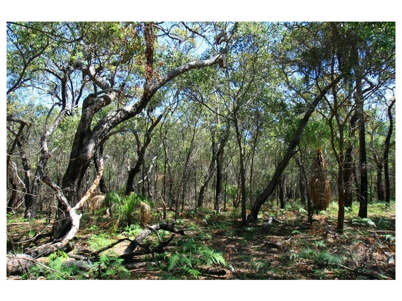 Agnes Water QLD 4677