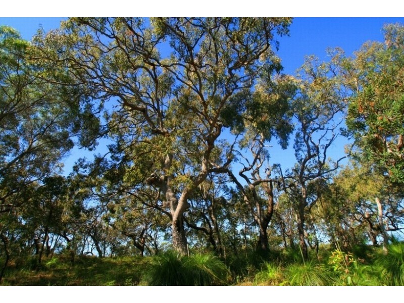 Agnes Water QLD 4677