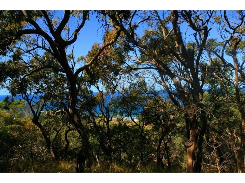 Lot 142 Springs Road, Agnes Water QLD 4677