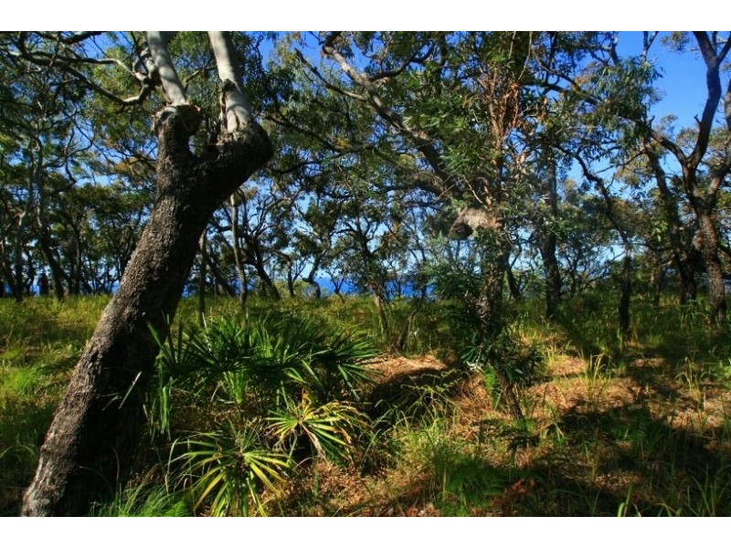 Lot 142 Springs Road, Agnes Water QLD 4677