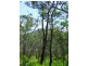 Lot 340 Streeter Drive, Agnes Water QLD 4677