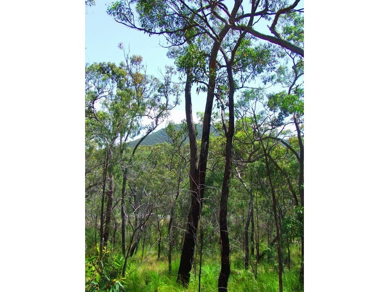 Lot 340 Streeter Drive, Agnes Water QLD 4677