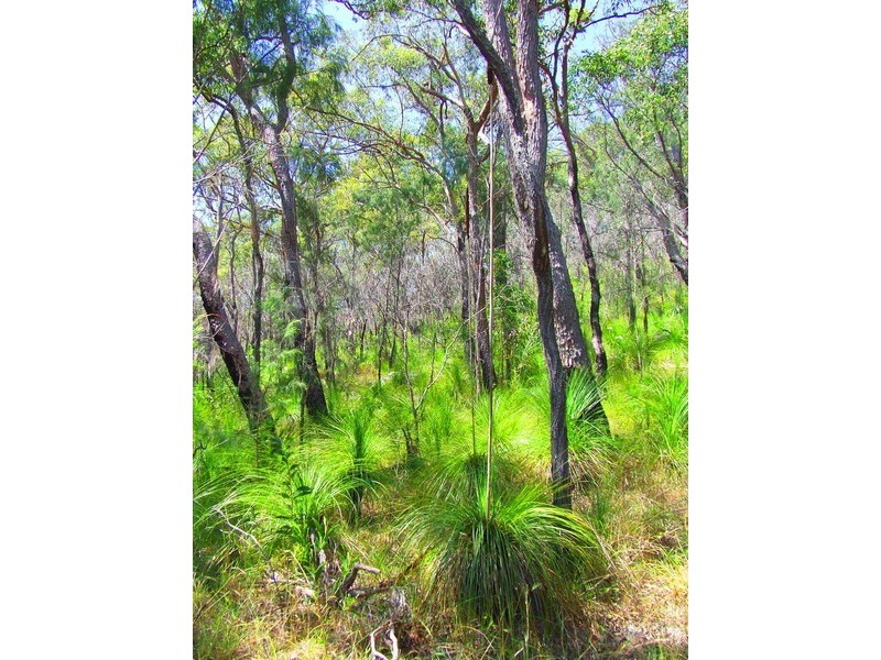Lot 340 Streeter Drive, Agnes Water QLD 4677