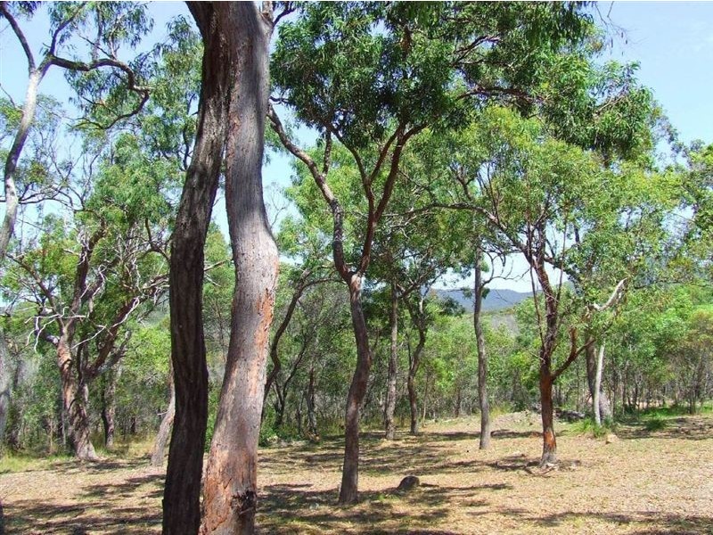 Lot 13 Bicentennial Drive, Agnes Water QLD 4677