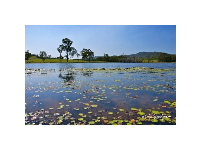 Captain Creek QLD 4677