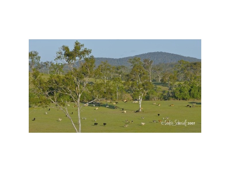 Captain Creek QLD 4677