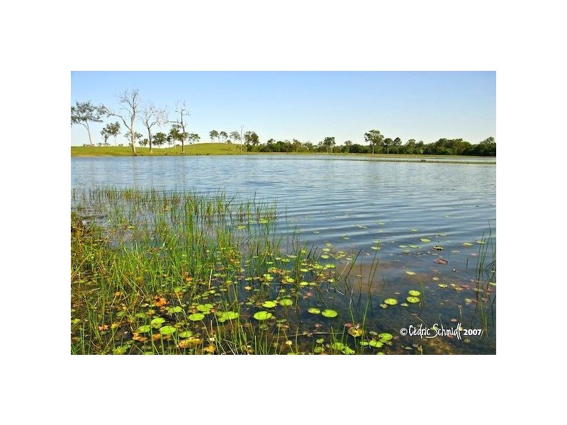 Lot 41 Maroolingar Road, Agnes Water QLD 4677