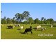 Lot 41 Maroolingar Road, Agnes Water QLD 4677