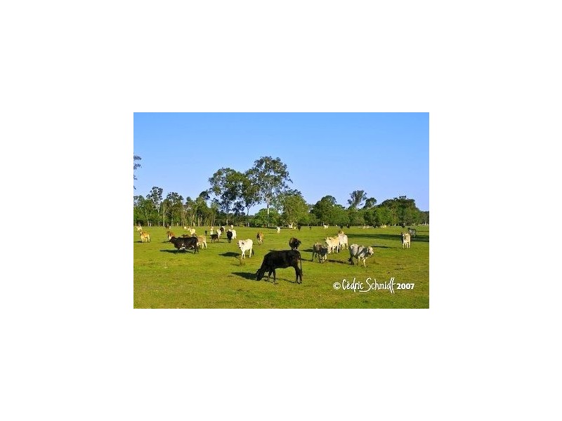 Lot 41 Maroolingar Road, Agnes Water QLD 4677