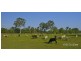 Lot 41 Maroolingar Road, Agnes Water QLD 4677