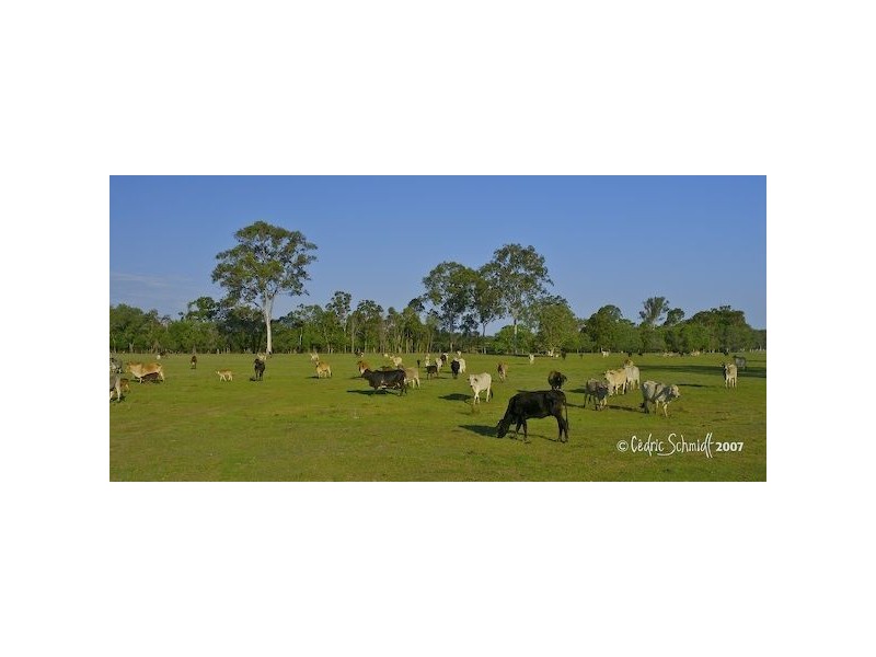 Lot 41 Maroolingar Road, Agnes Water QLD 4677