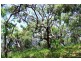 95/552 Bloodwood South, Agnes Water QLD 4677