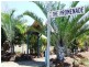 Lot 58 The Promenade, Agnes Water QLD 4677