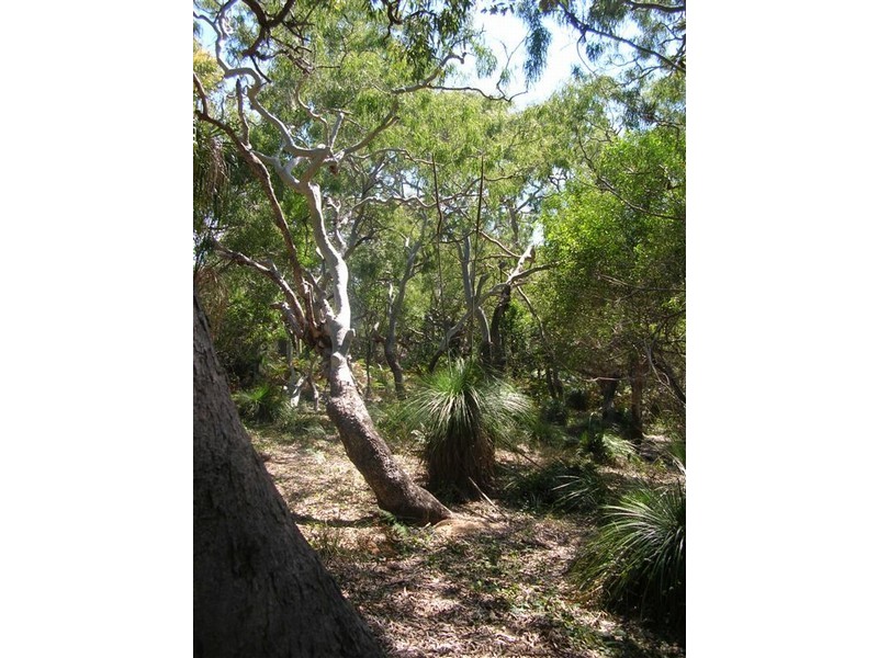 Lot 2 Kate Avenue, Deepwater QLD 4674