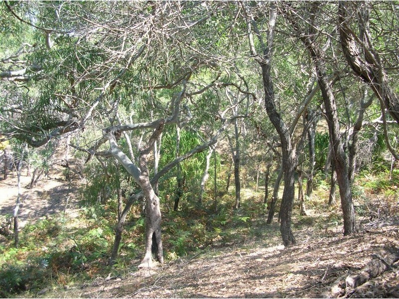 Lot 2 Kate Avenue, Deepwater QLD 4674