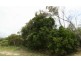 Lot 36 Northbreak Drive, Agnes Water QLD 4677