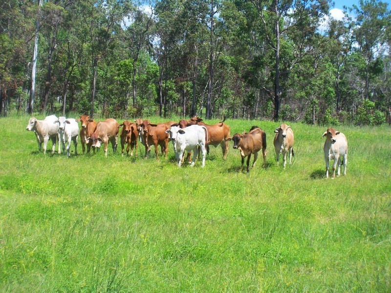 Agnes Water QLD 4677