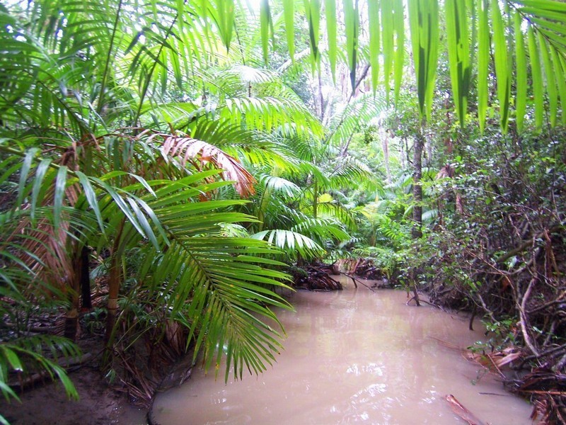Agnes Water QLD 4677