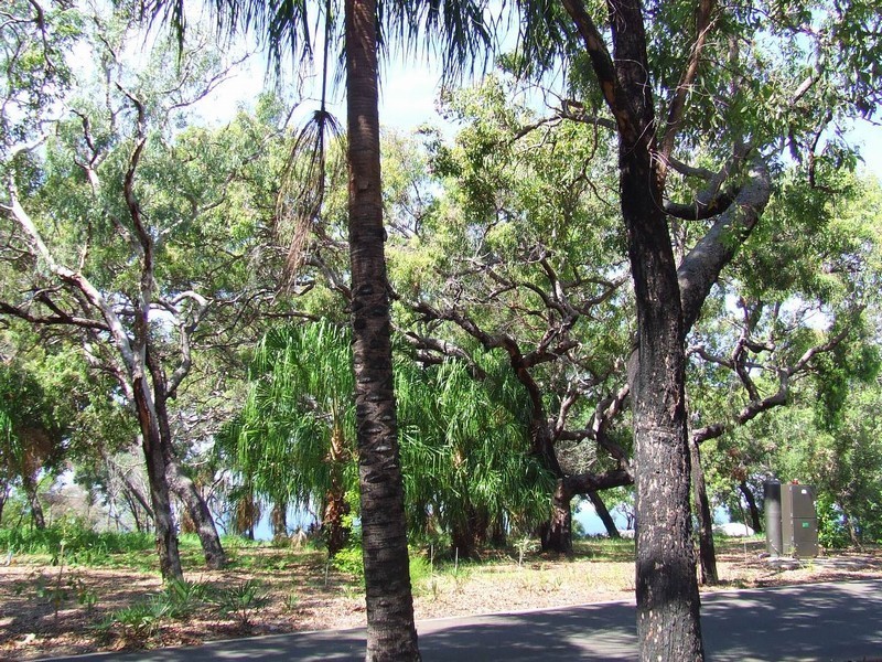 Agnes Water QLD 4677