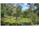 Lot 21400 Lady Elliot Drive, Agnes Water QLD 4677