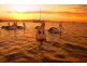 Lot 40 Captain Cook Drive, Seventeen Seventy QLD 4677
