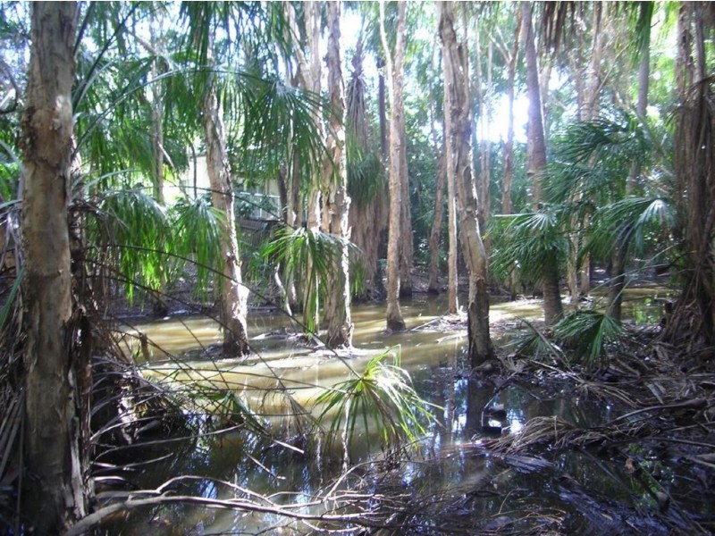 Lot 11 Agnes Street, Agnes Water QLD 4677