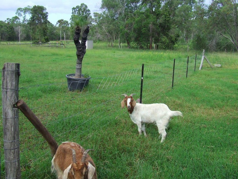 Agnes Water QLD 4677