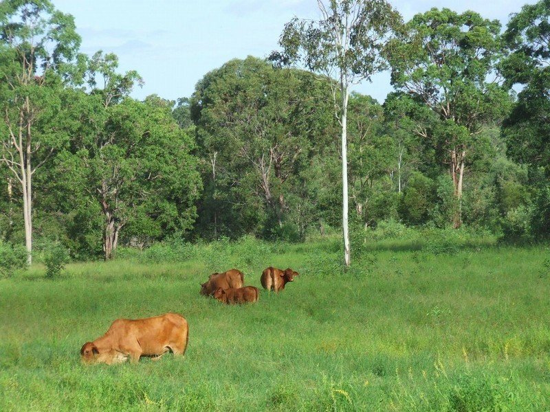 Agnes Water QLD 4677