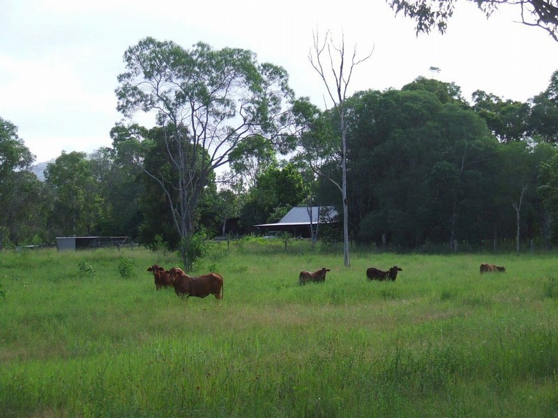 Agnes Water QLD 4677