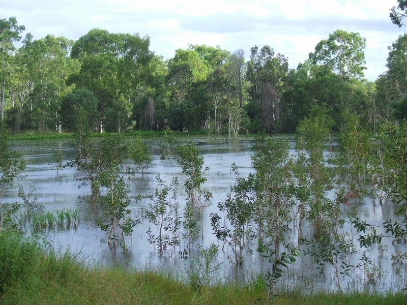 Agnes Water QLD 4677