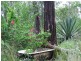 Lot 100 Range Road, Captain Creek QLD 4677