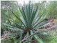 Lot 100 Range Road, Captain Creek QLD 4677