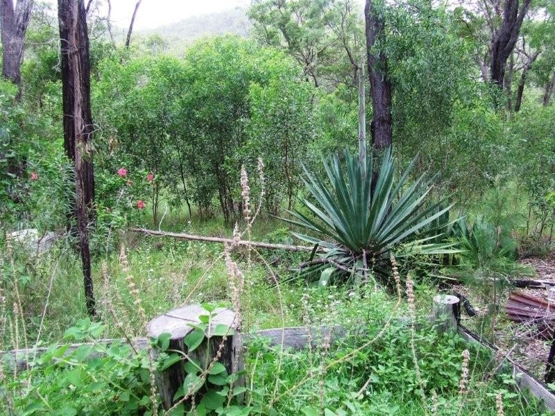Lot 100 Range Road, Captain Creek QLD 4677