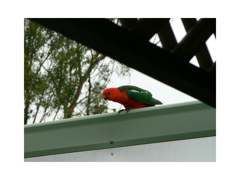 Lot 5/380 Baldaw Road, Agnes Water QLD 4677