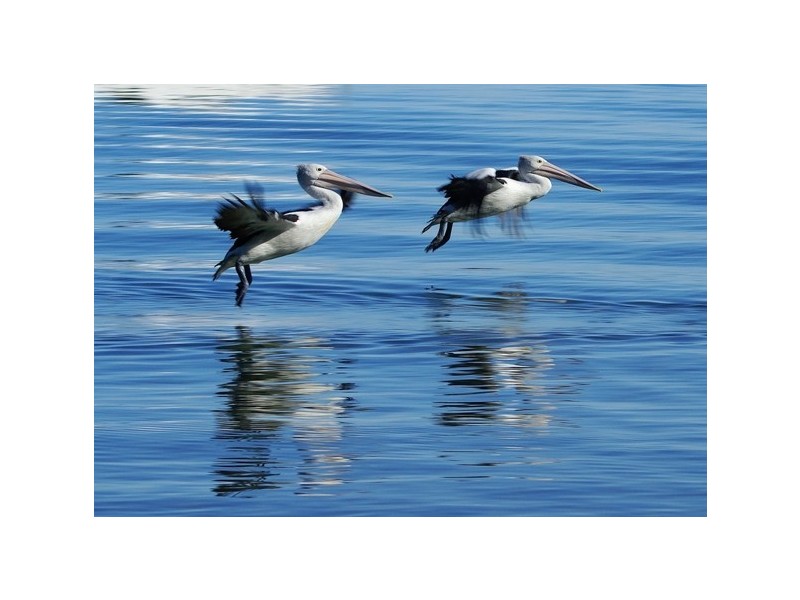 Lot 46 &50 Ocean Ridge, Agnes Water QLD 4677