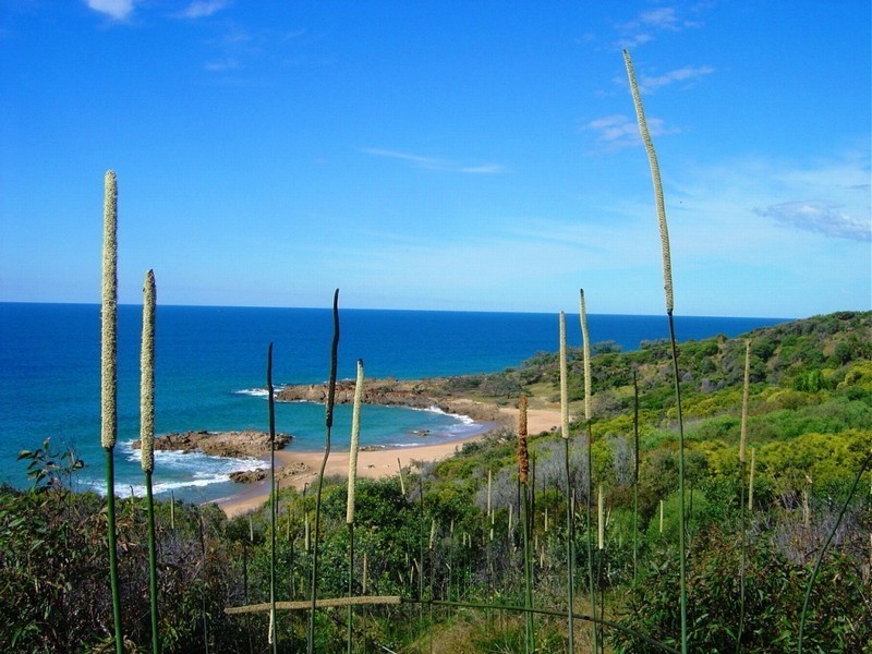 Lot 64 Springs Road, Agnes Water QLD 4677