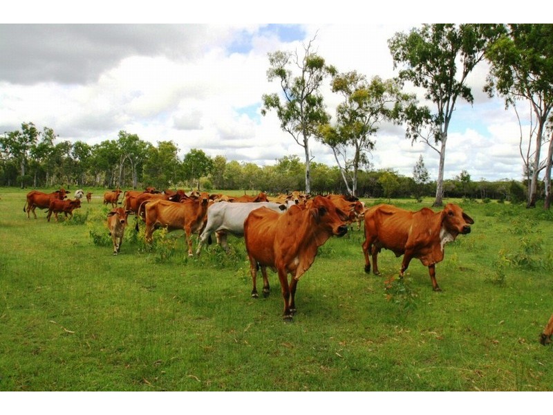 1710 Coast Road, Agnes Water QLD 4677