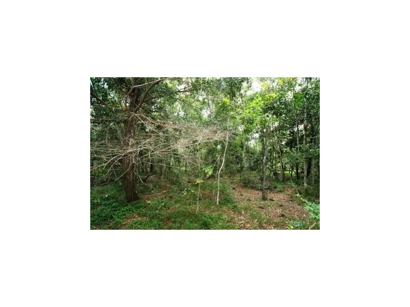 1710 Coast Road, Agnes Water QLD 4677