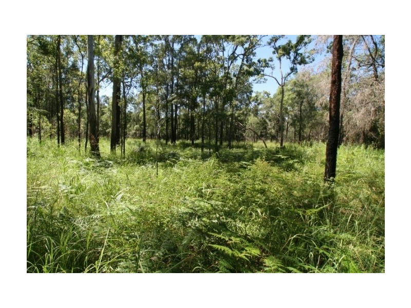 LOT 39 Creevey Dr, Captain Creek QLD 4677