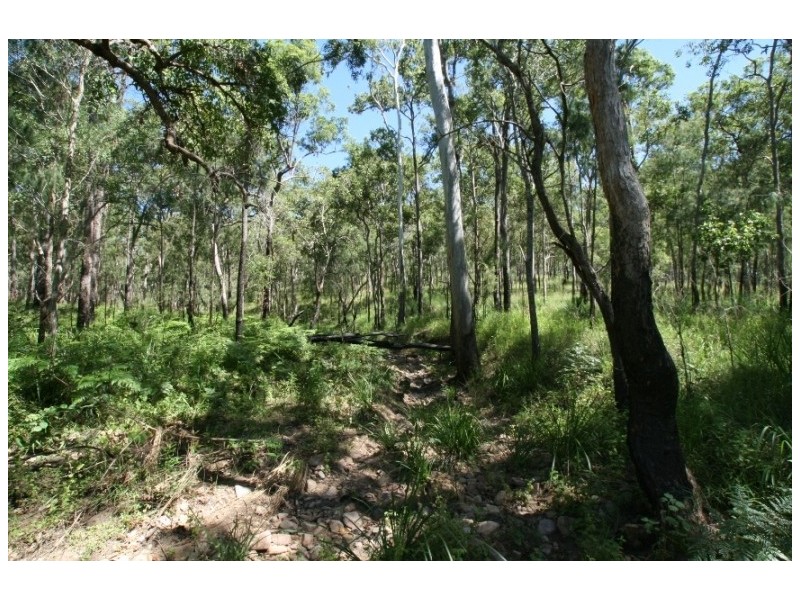 LOT 39 Creevey Dr, Captain Creek QLD 4677
