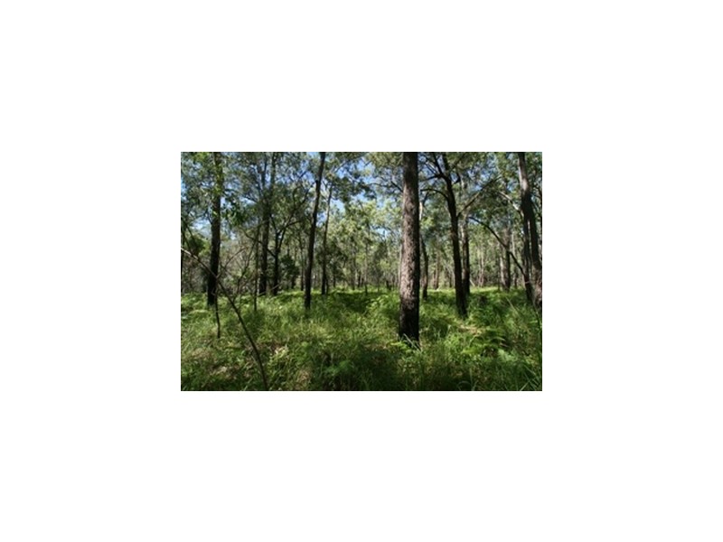 LOT 39 Creevey Dr, Captain Creek QLD 4677