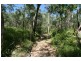 LOT 39 Creevey Dr, Captain Creek QLD 4677