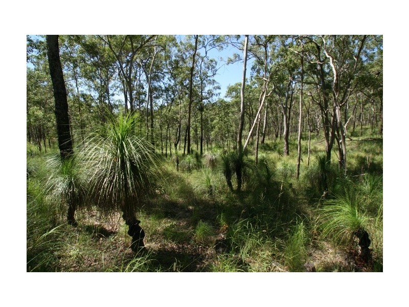 LOT 39 Creevey Dr, Captain Creek QLD 4677