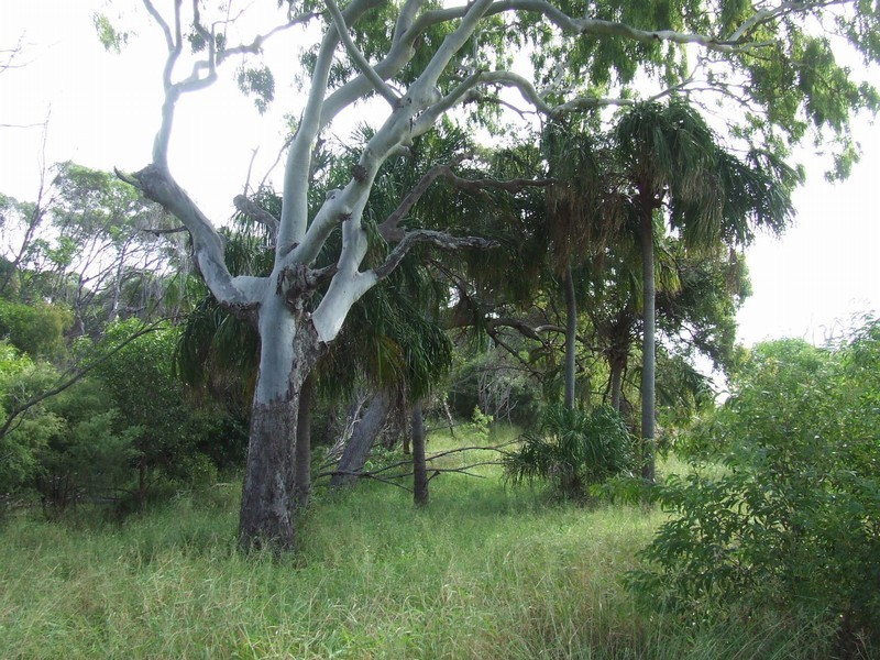 Lot 60 Seaview Court, Agnes Water QLD 4677