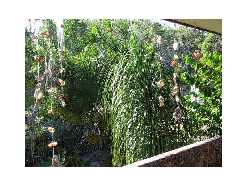 Lot 387 Whyte Cresent, Agnes Water QLD 4677