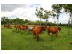 Lot 3 Coast Road, Agnes Water QLD 4677