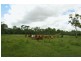 Lot 81 Coast Road, Agnes Water QLD 4677