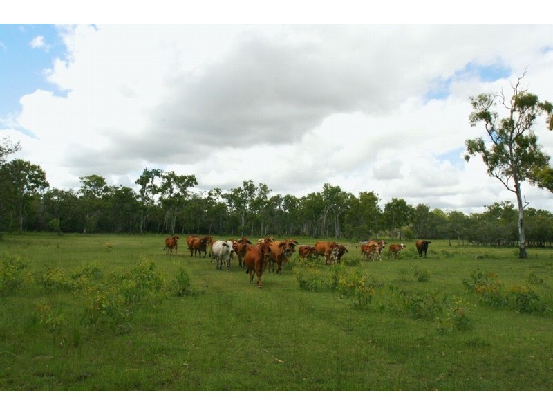 Lot 81 Coast Road, Agnes Water QLD 4677