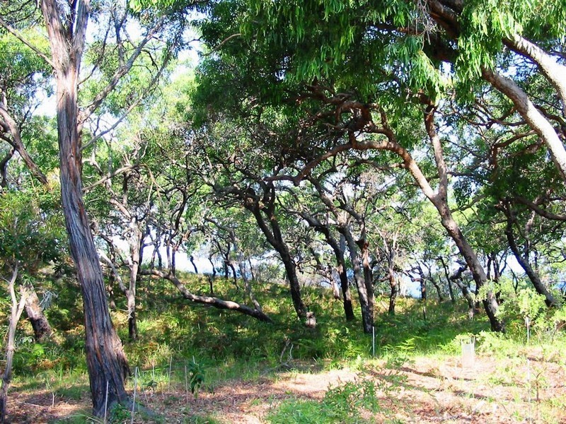 Lot 102 Springs Rd, Agnes Water QLD 4677