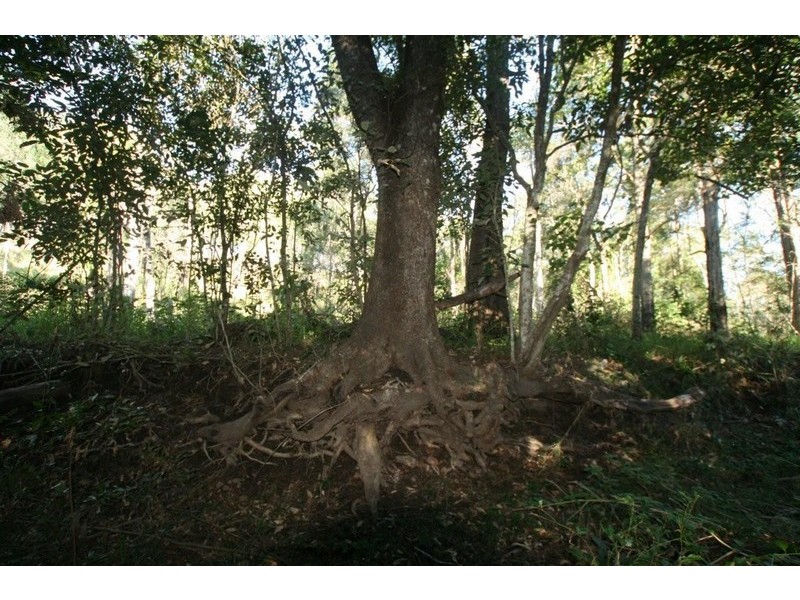 Captain Creek QLD 4677